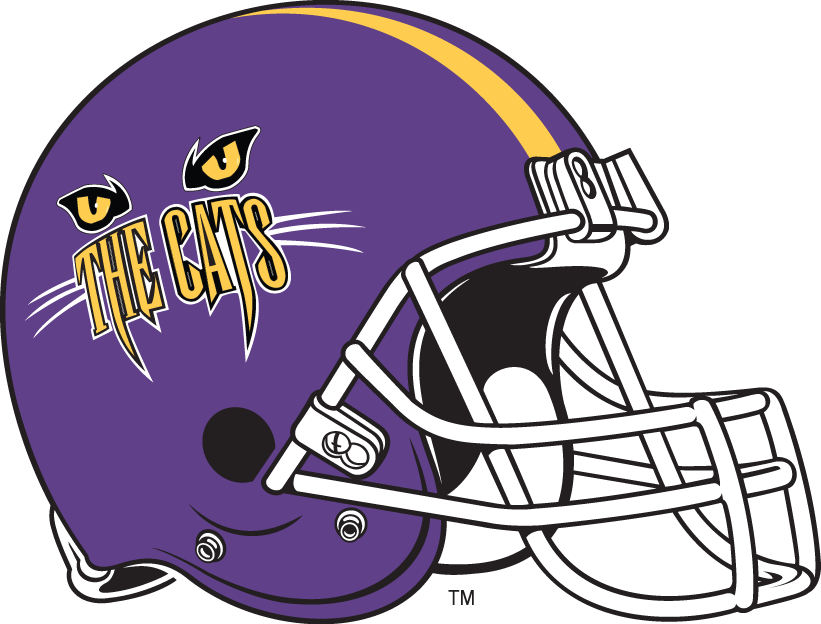 Western Carolina Catamounts 1996-2007 Helmet Logo diy iron on heat transfer
